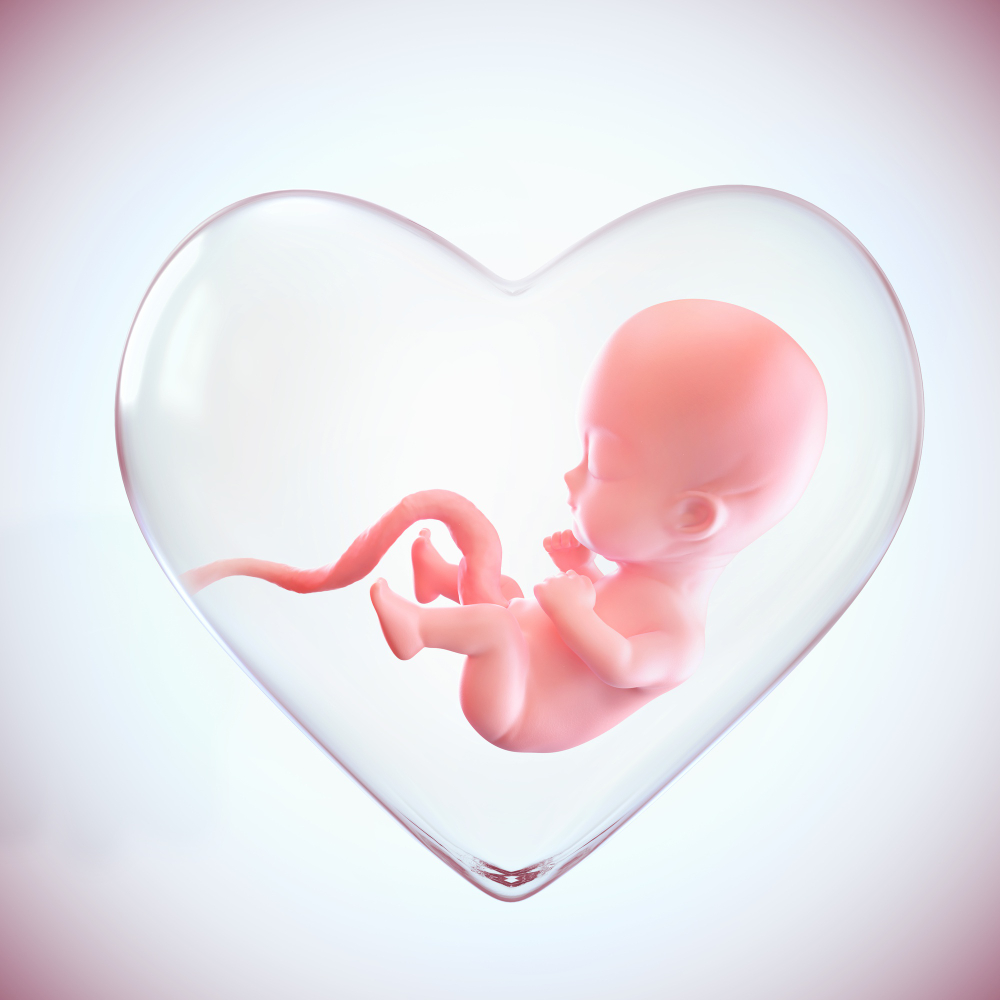 Pregnancy Follow-up